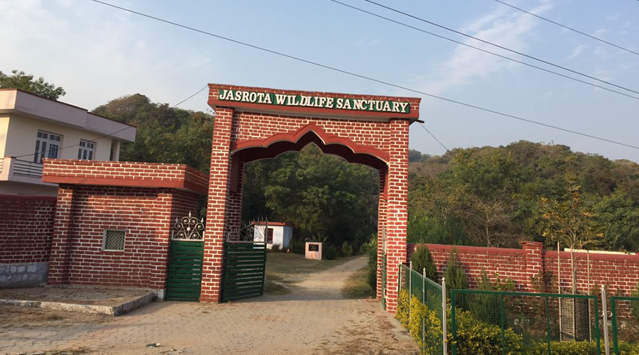 Jasrota Wildlife Sanctuary, Jammu And Kashmir